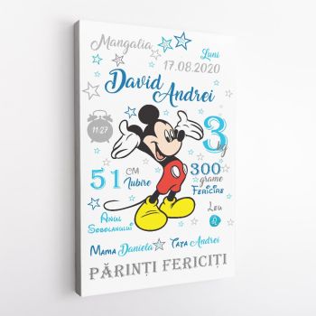 Tablou Canvas Personalizat Mickey 01