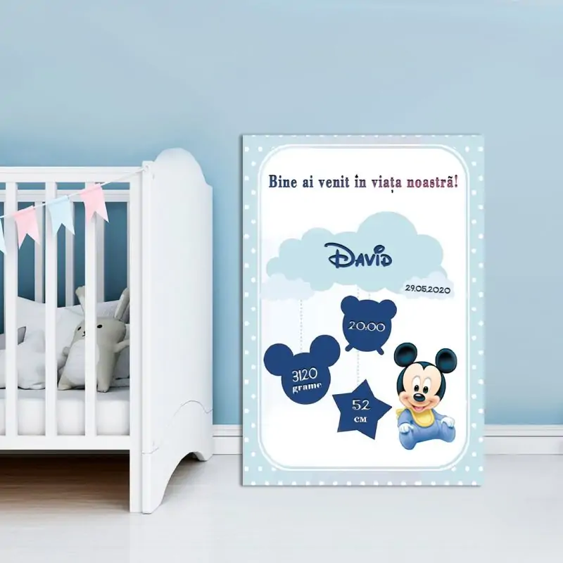 Tablou Canvas Personalizat Mickey 03