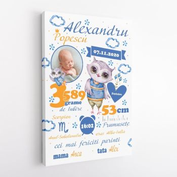 Placheta Personalizata Bufnita Pentru Baieti v1