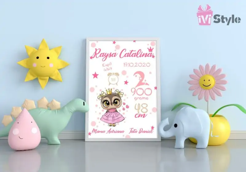 Tablou Personalizat A4 Bufnita cu Rochita Raysa