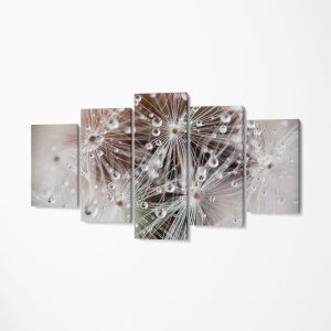 Set Tablou Multicanvas Premium Decor 5 piese - Dandelion Crystal