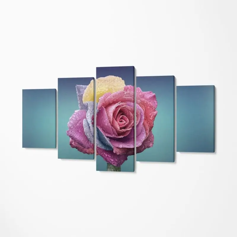 Set Tablou Multicanvas Premium Decor 5 piese - Warm Rose